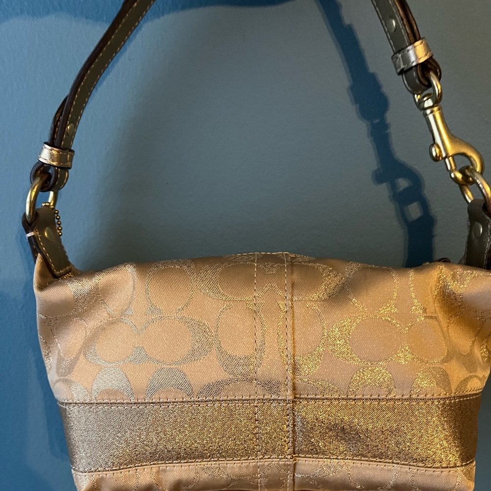 Cute Coach Bag